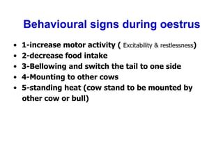 Behavioural signs during oestrus
• 1-increase motor activity ( Excitability & restlessness)
• 2-decrease food intake
• 3-Bellowing and switch the tail to one side
• 4-Mounting to other cows
• 5-standing heat (cow stand to be mounted by
other cow or bull)
 