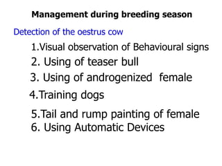 1.Visual observation of Behavioural signs
2. Using of teaser bull
3. Using of androgenized female
4.Training dogs
5.Tail and rump painting of female
6. Using Automatic Devices
Management during breeding season
Detection of the oestrus cow
 