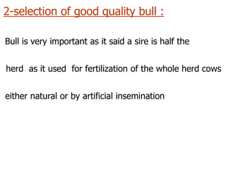 2-selection of good quality bull :
Bull is very important as it said a sire is half the
herd as it used for fertilization of the whole herd cows
either natural or by artificial insemination
 
