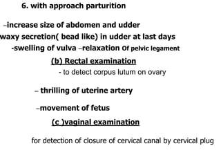 - to detect corpus lutum on ovary
6. with approach parturition
–increase size of abdomen and udder
waxy secretion( bead like) in udder at last days
-swelling of vulva –relaxation Of pelvic legament
(b) Rectal examination
– thrilling of uterine artery
–movement of fetus
(c )vaginal examination
for detection of closure of cervical canal by cervical plug
 