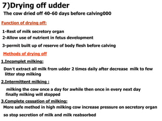 7)Drying off udder
The cow dried off 40-60 days before calving000
Function of drying off:
1-Rest of milk secretory organ
2-Allow use of nutrient in fetus development
3-permit built up of reserve of body flesh before calving
Methods of drying off
1.Incomplet milking:
Don’t extract all milk from udder 2 times daily after decrease milk to few
litter stop milking
2.Intermittent milking :
milking the cow once a day for awhile then once in every next day
finally milking will stopped
3.Complete cessation of milking:
More safe method in high milking cow increase pressure on secretory organ
so stop secretion of milk and milk reabsorbed
 