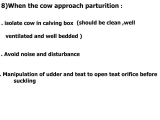 8)When the cow approach parturition :
. isolate cow in calving box (should be clean ,well
ventilated and well bedded )
. Avoid noise and disturbance
. Manipulation of udder and teat to open teat orifice before
suckling
 