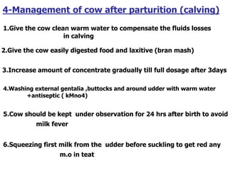 4-Management of cow after parturition (calving)
1.Give the cow clean warm water to compensate the fluids losses
in calving
2.Give the cow easily digested food and laxitive (bran mash)
3.Increase amount of concentrate gradually till full dosage after 3days
4.Washing external gentalia ,buttocks and around udder with warm water
+antiseptic ( kMno4)
5.Cow should be kept under observation for 24 hrs after birth to avoid
milk fever
6.Squeezing first milk from the udder before suckling to get red any
m.o in teat
 