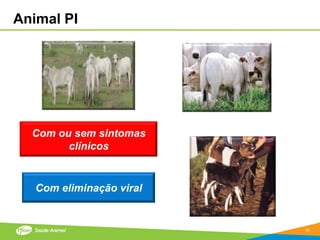 Animal PI




  Com ou sem sintomas
        clínicos


   Com eliminação viral


                          10
 