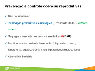 Prevenção e controle doenças reprodutivas

 Não há tratamento

 Vacinação preventiva e estratégica (6 meses de idade) – reforço

  anual

 Segregar e descarte dos animais infectados (PI BVD)

 Monitoramento constante do rebanho (diagnóstico clínico,

  laboratorial, aquisição de animais e parâmetros reprodutivos)

 Calendário Sanitário



                                                                    11
 