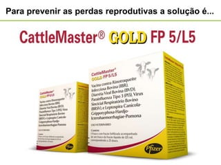 Para prevenir as perdas reprodutivas a solução é...




                                                  12
 