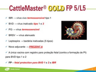  IBR → vírus vivo termossensível tipo 1

 BVD → vírus inativado tipo 1 e 2

 PI3 → vírus termossensível

 BRSV → vírus atenuado

 Leptospira → bactéria inativadas (5 tipos)

 Novo adjuvante → PREZENT A

 A única vacina com registro para proteção fetal (contra a formação de PI)
para BVD tipo 1 e 2

 FP – fetal protection para BVD 1 e 2 e IBR

                                                                              13
 