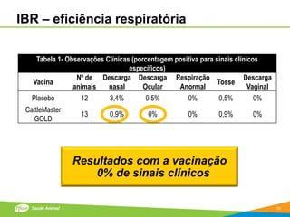 IBR – eficiência respiratória

    Tabela 1- Observações Clínicas (porcentagem positiva para sinais clínicos
                                  específicos)
                 Nº de Descarga Descarga Respiração                     Descarga
   Vacina                                                      Tosse
                animais    nasal       Ocular    Anormal                  Vaginal
   Placebo        12        3,4%       0,5%          0%        0,5%       0%
 CattleMaster
                  13        0,9%        0%           0%        0,9%       0%
   GOLD




                Resultados com a vacinação
                    0% de sinais clínicos

                                                                                    19
 