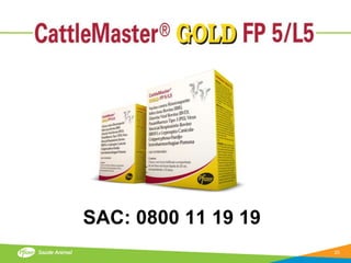 SAC: 0800 11 19 19
                     20
 