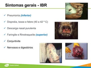 Sintomas gerais - IBR

 Pneumonia (inferior)

 Dispnéia, tosse e febre (40 a 42 º C)

 Descarga nasal purulenta

 Faringite e Rinotraqueíte (superior)

 Conjuntivite

 Nervosos e digestórios




                                          4
 
