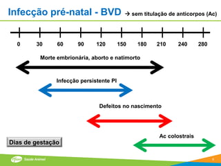 Infecção pré-natal - BVD                    sem titulação de anticorpos (Ac)




  0     30     60      90     120        150   180    210     240      280

         Morte embrionária, aborto e natimorto



               Infecção persistente PI



                               Defeitos no nascimento




                                                       Ac colostrais
Dias de gestação

                                                                             9
 