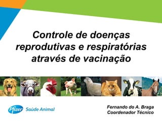 Controle de doenças
reprodutivas e respiratórias
   através de vacinação



                   Fernando do A. Braga
                   Coordenador Técnico
                                          1
 