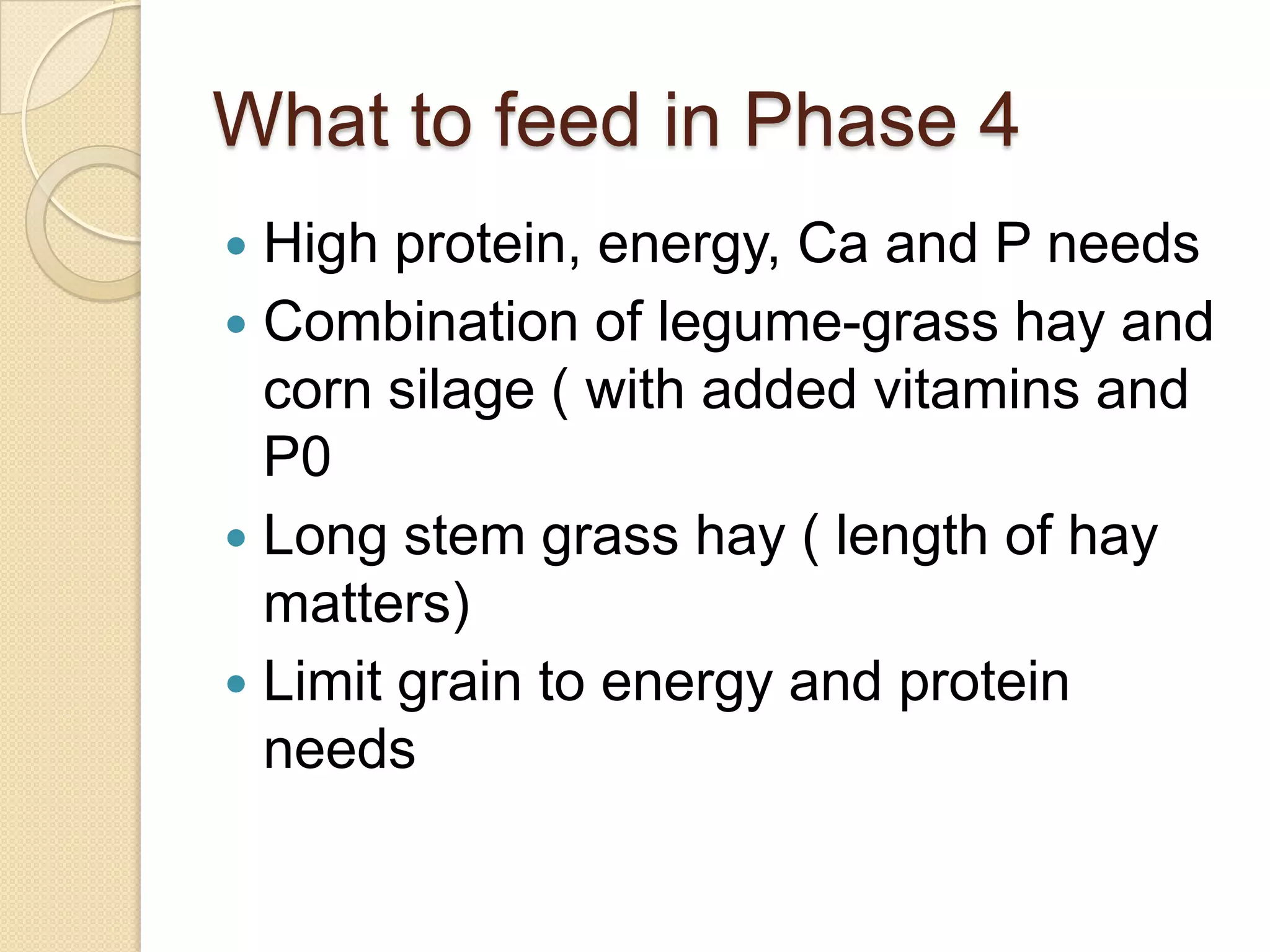 What to feed in Phase 4High protein, energy, Ca and P needsCombination of legume-grass hay and corn silage ( with added vitamins and P0Long stem grass hay ( length of hay matters)Limit grain to energy and protein needs
