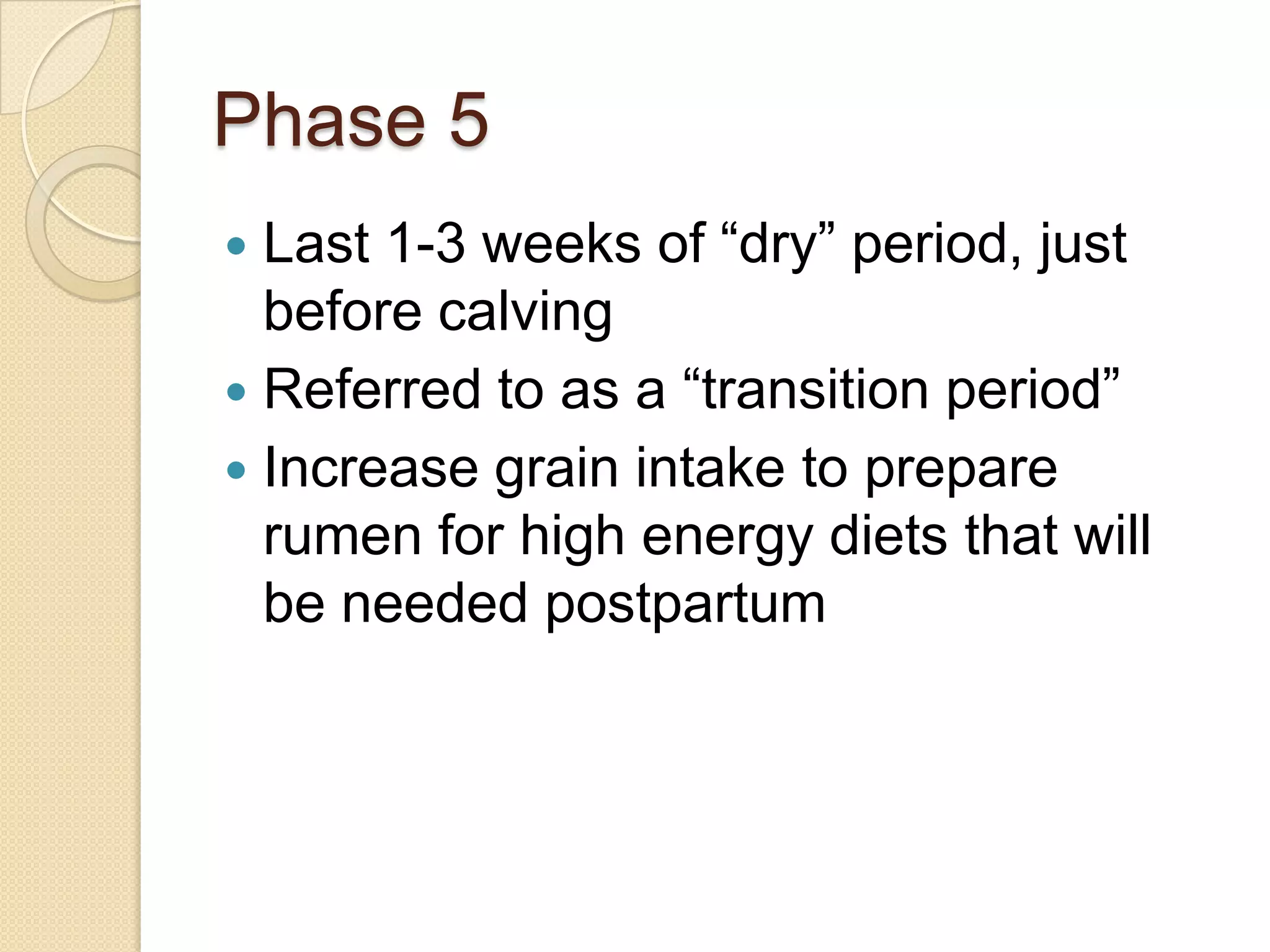 Can lead to calving difficulties, displaced abomassum and ketosisPhase 5Last 1-3 weeks of “dry” period, just before calvingReferred to as a “transition period”Increase grain intake to prepare rumen for high energy diets that will be needed postpartum