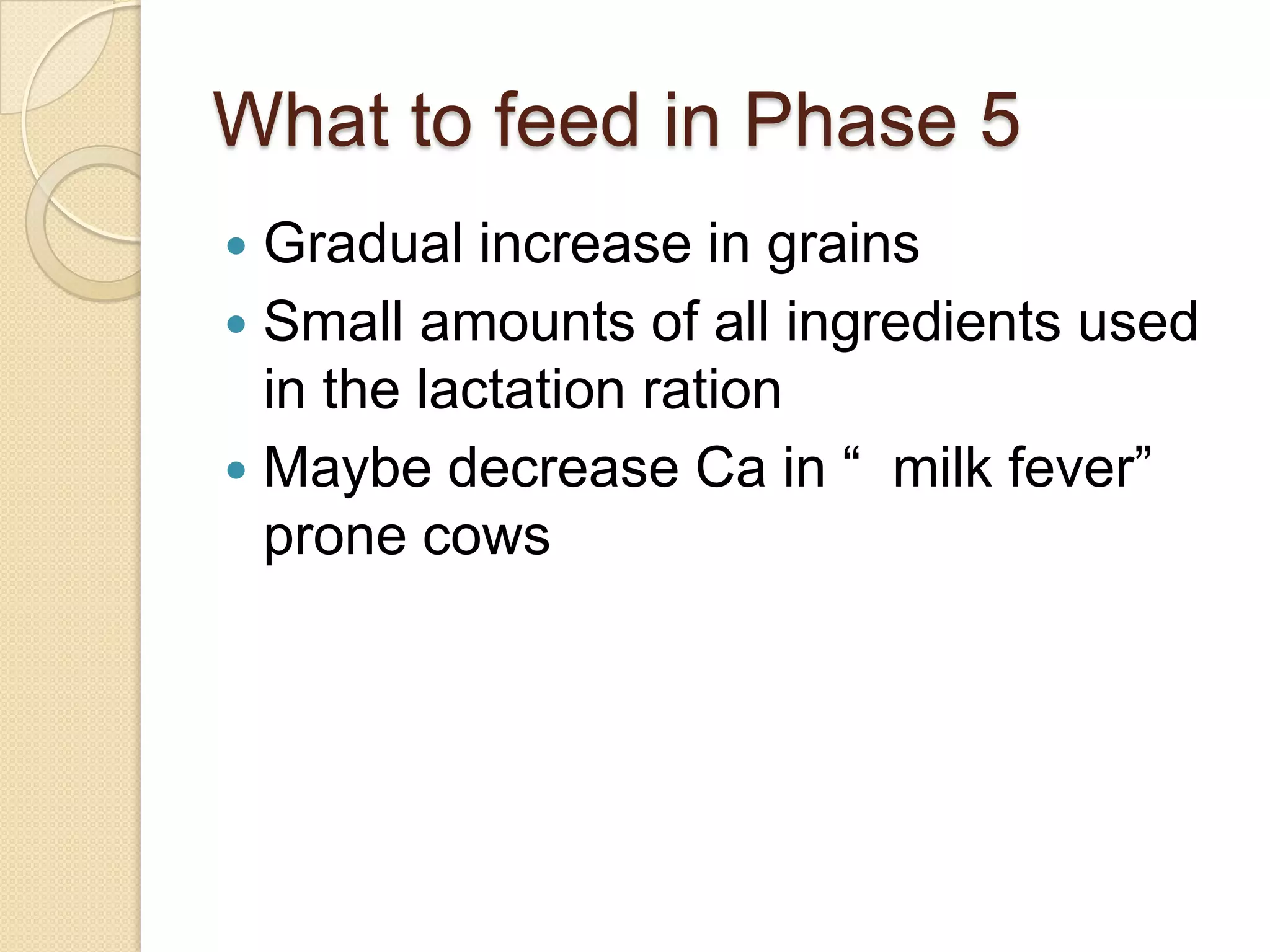 What to feed in Phase 5Gradual increase in grainsSmall amounts of all ingredients used in the lactation rationMaybe decrease Ca in “  milk fever” prone cows