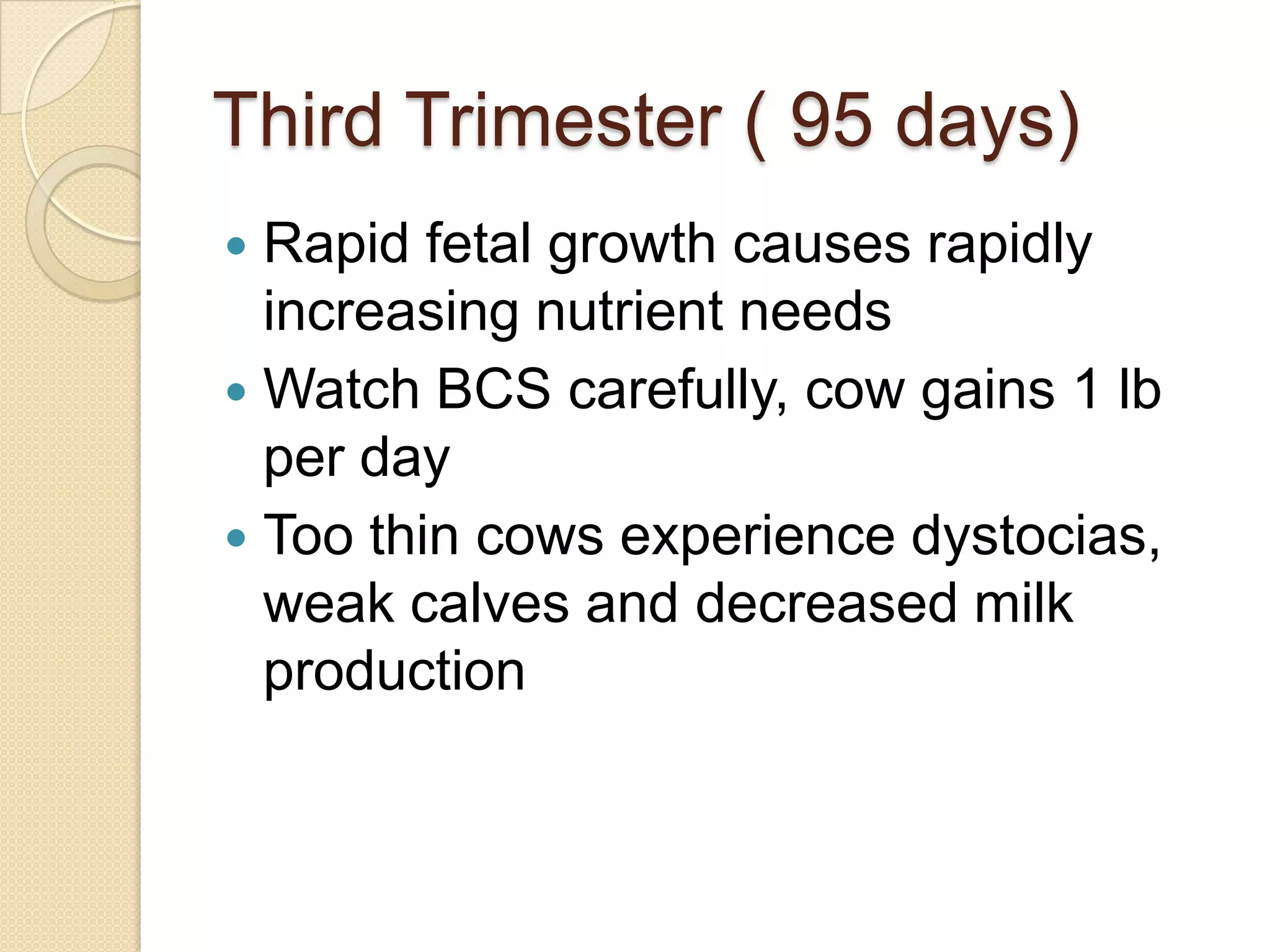 Third Trimester ( 95 days)Rapid fetal growth causes rapidly increasing nutrient needsWatch BCS carefully, cow gains 1 lb per dayToo thin cows experience dystocias, weak calves and decreased milk production