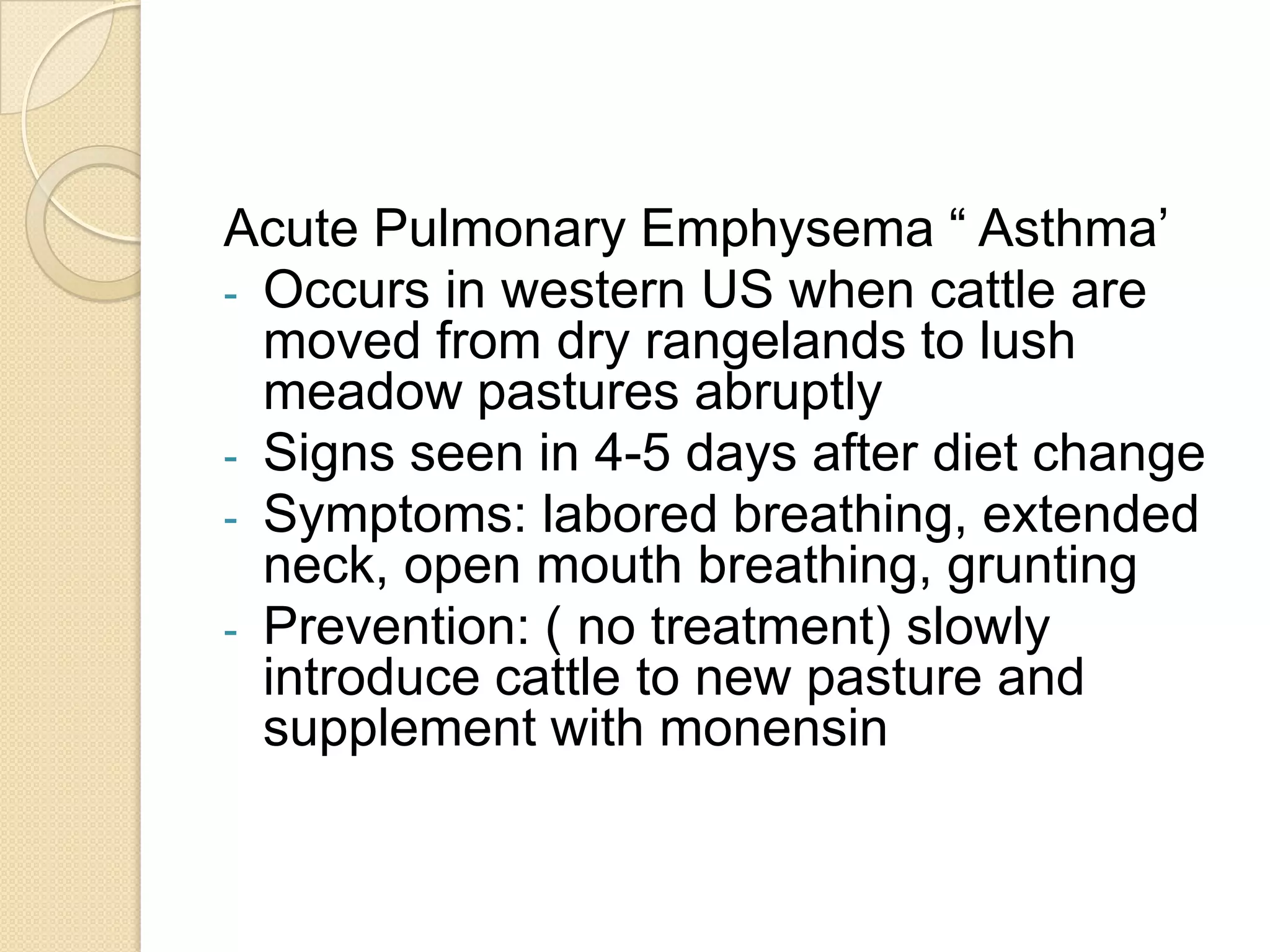Relieve bloat by inserting stomach tube into rumen and giving anti-foam material ( ex vegetable oil)