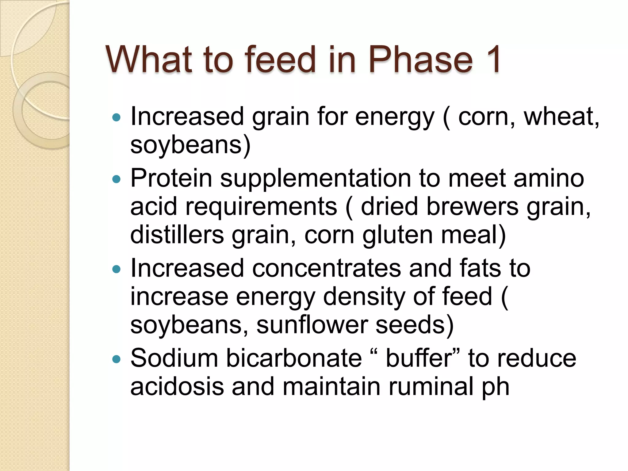 What to feed in Phase 1Increased grain for energy ( corn, wheat, soybeans)Protein supplementation to meet amino acid requirements ( dried brewers grain, distillers grain, corn gluten meal)Increased concentrates and fats to increase energy density of feed ( soybeans, sunflower seeds)Sodium bicarbonate “ buffer” to reduce acidosis and maintain ruminal ph