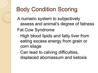Body Condition ScoringA numeric system to subjectively assess and animal’s degree of fatnessFat Cow SyndromeHigh blood lipids and fatty liver from eating excess energy from grain or corn silage