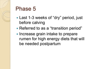 Can lead to calving difficulties, displaced abomassum and ketosisPhase 5Last 1-3 weeks of “dry” period, just before calvingReferred to as a “transition period”Increase grain intake to prepare rumen for high energy diets that will be needed postpartum