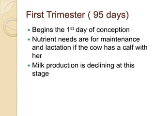 First Trimester ( 95 days)Begins the 1st day of conceptionNutrient needs are for maintenance and lactation if the cow has a calf with her Milk production is declining at this stage