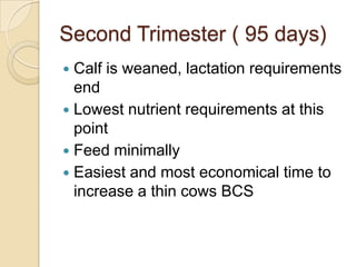 Second Trimester ( 95 days)Calf is weaned, lactation requirements endLowest nutrient requirements at this pointFeed minimally Easiest and most economical time to increase a thin cows BCS