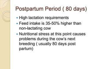 Postpartum Period ( 80 days)High lactation requirementsFeed intake is 35-50% higher than non-lactating cowNutritional stress at this point causes problems during the cow’s next breeding ( usually 80 days post partum)