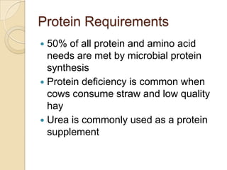 Protein Requirements50% of all protein and amino acid needs are met by microbial protein synthesisProtein deficiency is common when cows consume straw and low quality hayUrea is commonly used as a protein supplement