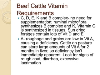 Beef Cattle Vitamin RequirementsC, D, E, K and B complex- no need for supplementation; ruminalmicroflora synthesizes B complex and K, Vitamin C is synthesized in tissues, Sun dried forages contain lots of Vit D and EA- roughage and grains are low in Vit A, causing a deficiency. Cattle on pasture can store large amounts of Vit A for 2 months in liver, so deficiency isn’t immediately apparent. Look for signs of rough coat, diarrhea, excessive lacrimation