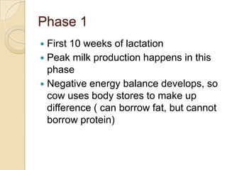 Based on lactation and gestation cyclePhase 1First 10 weeks of lactationPeak milk production happens in this phaseNegative energy balance develops, so cow uses body stores to make up difference ( can borrow fat, but cannot borrow protein)