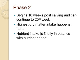 Phase 2Begins 10 weeks post calving and can continue to 20th weekHighest dry matter intake happens hereNutrient intake is finally in balance with nutrient needs