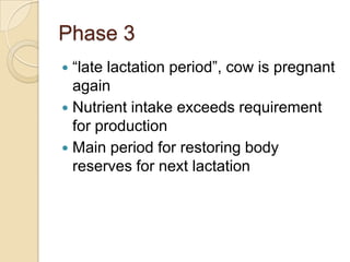 Phase 3	“late lactation period”, cow is pregnant againNutrient intake exceeds requirement for productionMain period for restoring body reserves for next lactation