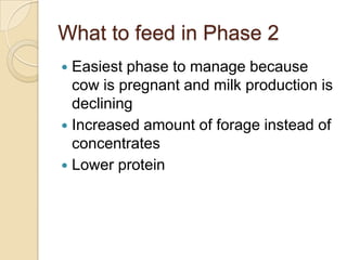 What to feed in Phase 2Easiest phase to manage because cow is pregnant and milk production is decliningIncreased amount of forage instead of concentratesLower protein