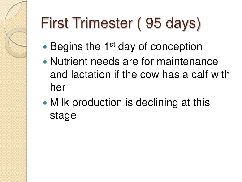 Cattle Nutrition