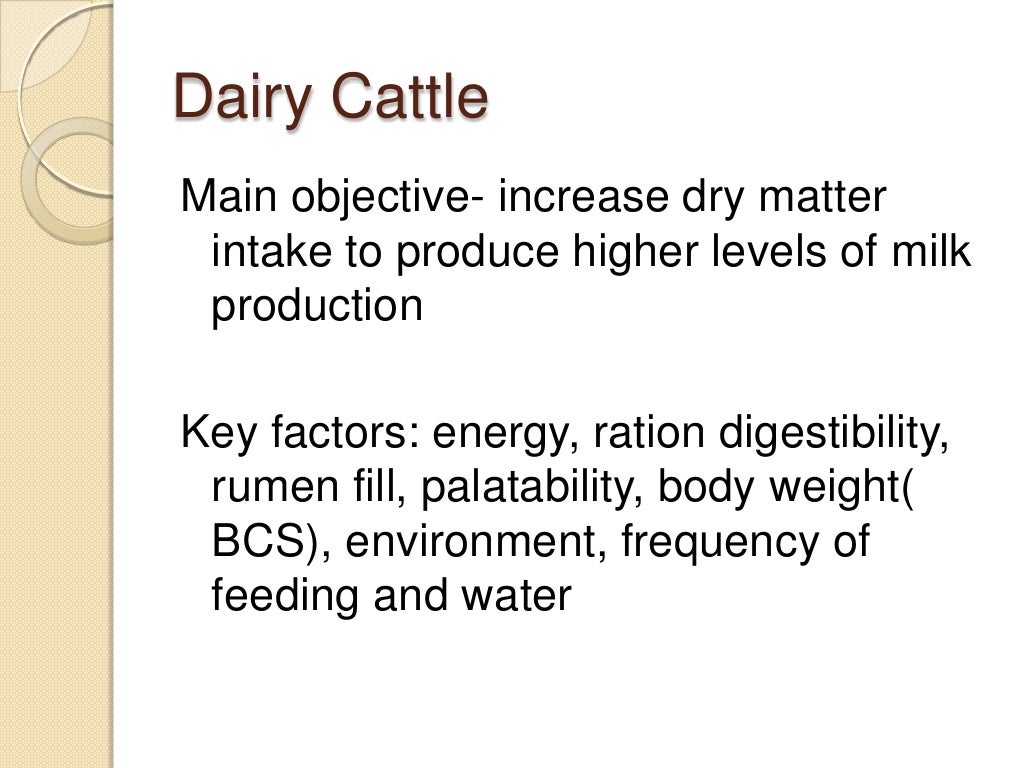 Cattle Nutrition