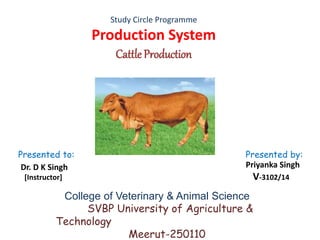 Study Circle Programme
Production System
Cattle Production
Presented to: Presented by:
Dr. D K Singh
[Instructor]
Priyanka Singh
V-3102/14
College of Veterinary & Animal Science
SVBP University of Agriculture &
Technology
Meerut-250110
 
