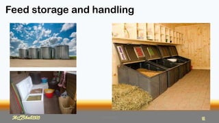 Feed storage and handling
MLBibat2020 16
MLBibat2020 16
 