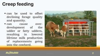 Creep feeding
MLBibat2020
 can be used to offset
declining forage quality
and quantity.
 can cause over-
development of the
udder or fatty udders,
resulting in lowered
lifetime milk production
of replacements going
into the cowherd.
MLBibat2020 17
 