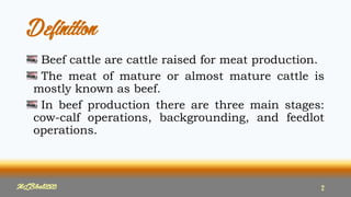 Definition
Beef cattle are cattle raised for meat production.
The meat of mature or almost mature cattle is
mostly known as beef.
In beef production there are three main stages:
cow-calf operations, backgrounding, and feedlot
operations.
MLBibat2020 2
 