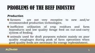 PROBLEMS OF THE BEEF INDUSTRY
Production
farmers are not very receptive to new and/or
recommended production technologies.
inefficient utilization of crop residues and farm
byproducts and low quality forage feed on cut-and-carry
system of feeding.
animals used for draft purposes subsist mainly on poor
quality roughages during peak of farm operations when
good quality feeds are necessary for energy replenishment.
MLBibat2020 5
MLBibat2020 5
 
