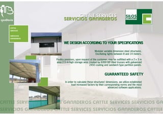 Cattle services - turn key projects (English)