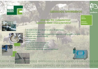Cattle services - turn key projects (English)