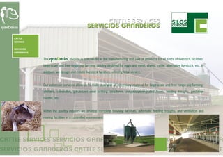 Cattle services - turn key projects (English)