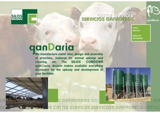 Cattle services - turn key projects (English)