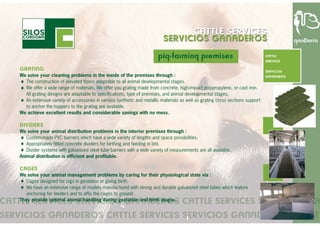 Cattle services - turn key projects (English)