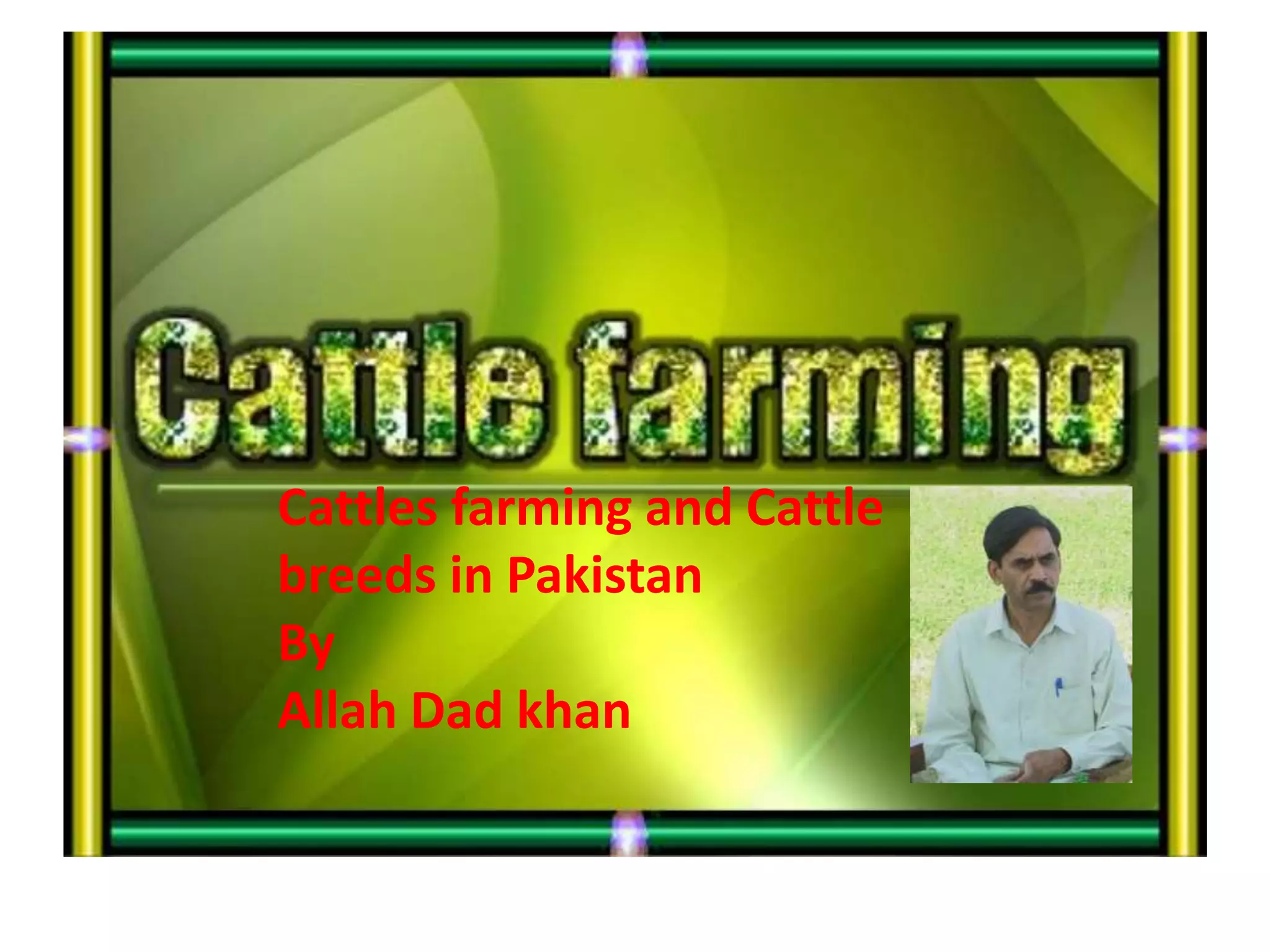 Cattles farming and cattle breeds in pakistan By Allah Dad Khan | PPTX