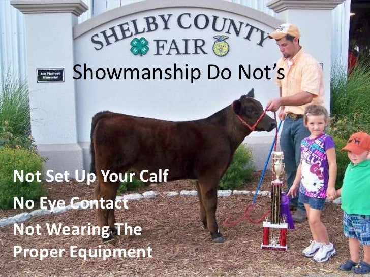 Cattle showmanship