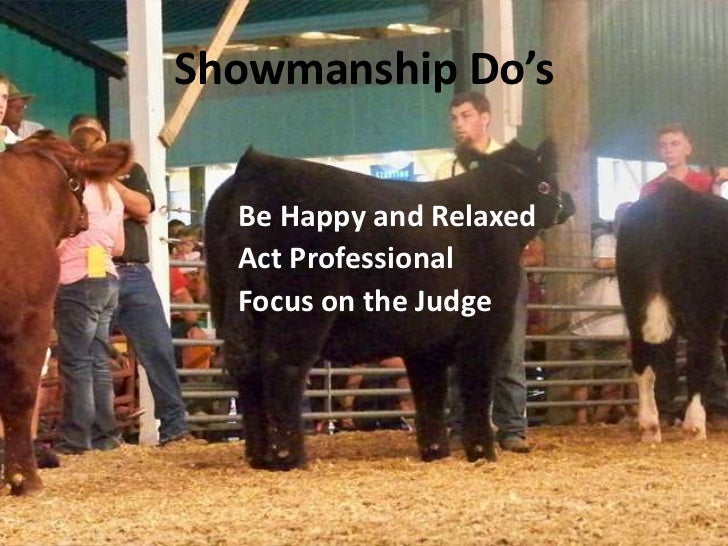 Cattle showmanship