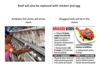 Beef will also be replaced with chicken and egg
•
Antibiotic fed chicks will arrive
more
•
Drugged birds will be in the
menu
 
