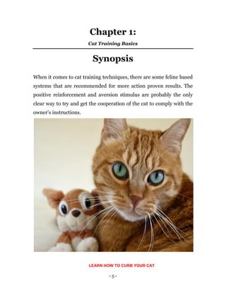 - 5 -
Chapter 1:
Cat Training Basics
Synopsis
When it comes to cat training techniques, there are some feline based
systems that are recommended for more action proven results. The
positive reinforcement and aversion stimulus are probably the only
clear way to try and get the cooperation of the cat to comply with the
owner’s instructions.
LEARN HOW TO CURB YOUR CAT
 